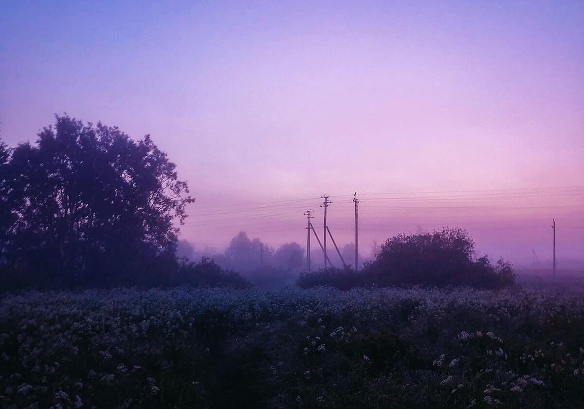 柠檬直播在线观看-“一坐高铁就犯困”，12306回应车厢二氧化碳浓度超标
